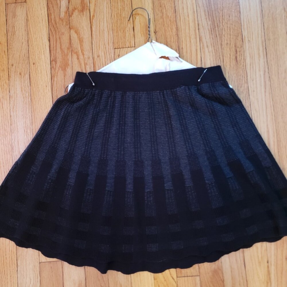 BOGO: TWO Max Studio Skirts BUNDLE